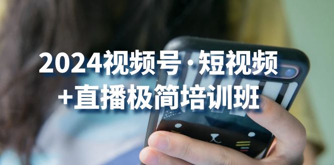 （10797期）2024视频号·短视频+直播极简培训班：抓住视频号风口，流量红利-928网创