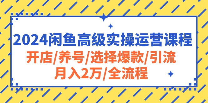 （10711期）2024闲鱼高级实操运营课程：开店/养号/选择爆款/引流/月入2万/全流程-928网创