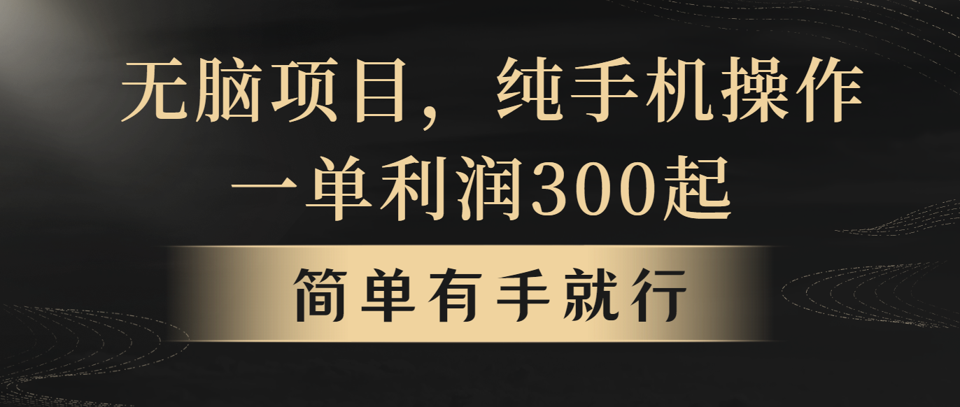 （10589期）无脑项目，一单几百块，轻松月入5w+，看完就能直接操作-928网创