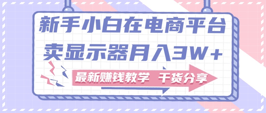 （11053期）新手小白如何做到在电商平台卖显示器月入3W+，最新赚钱教学干货分享-928网创