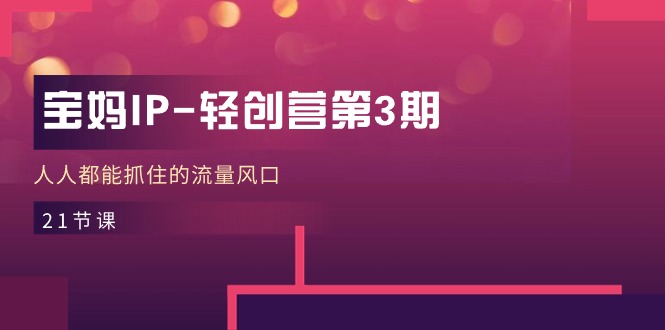 （11042期）宝妈IP-轻创营第3期，人人都能抓住的流量风口（21节课）-928网创