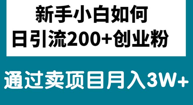 （10843期）新手小白日引流200+创业粉,通过卖项目月入3W+-928网创