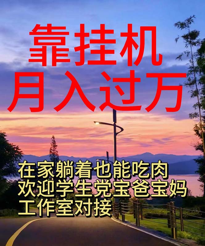 （10838期）靠挂机，日入1000+，躺着也能吃肉，适合宝爸宝妈学生党工作室，电脑手…-928网创