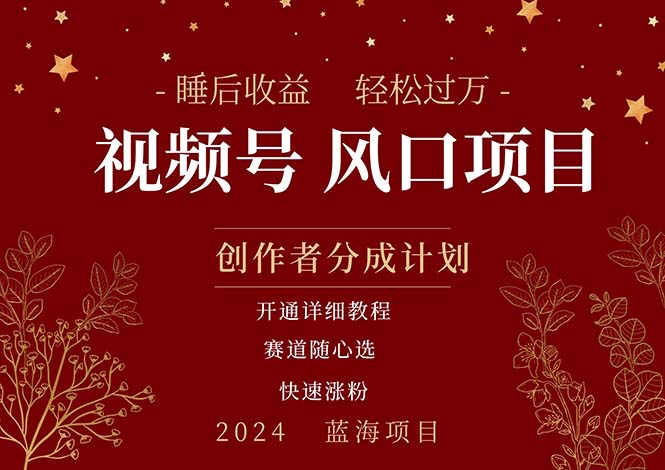 （11331期）拥有睡眠收益的微信视频号大风口项目，轻松月入过万+，多赛道选择，可…-928网创