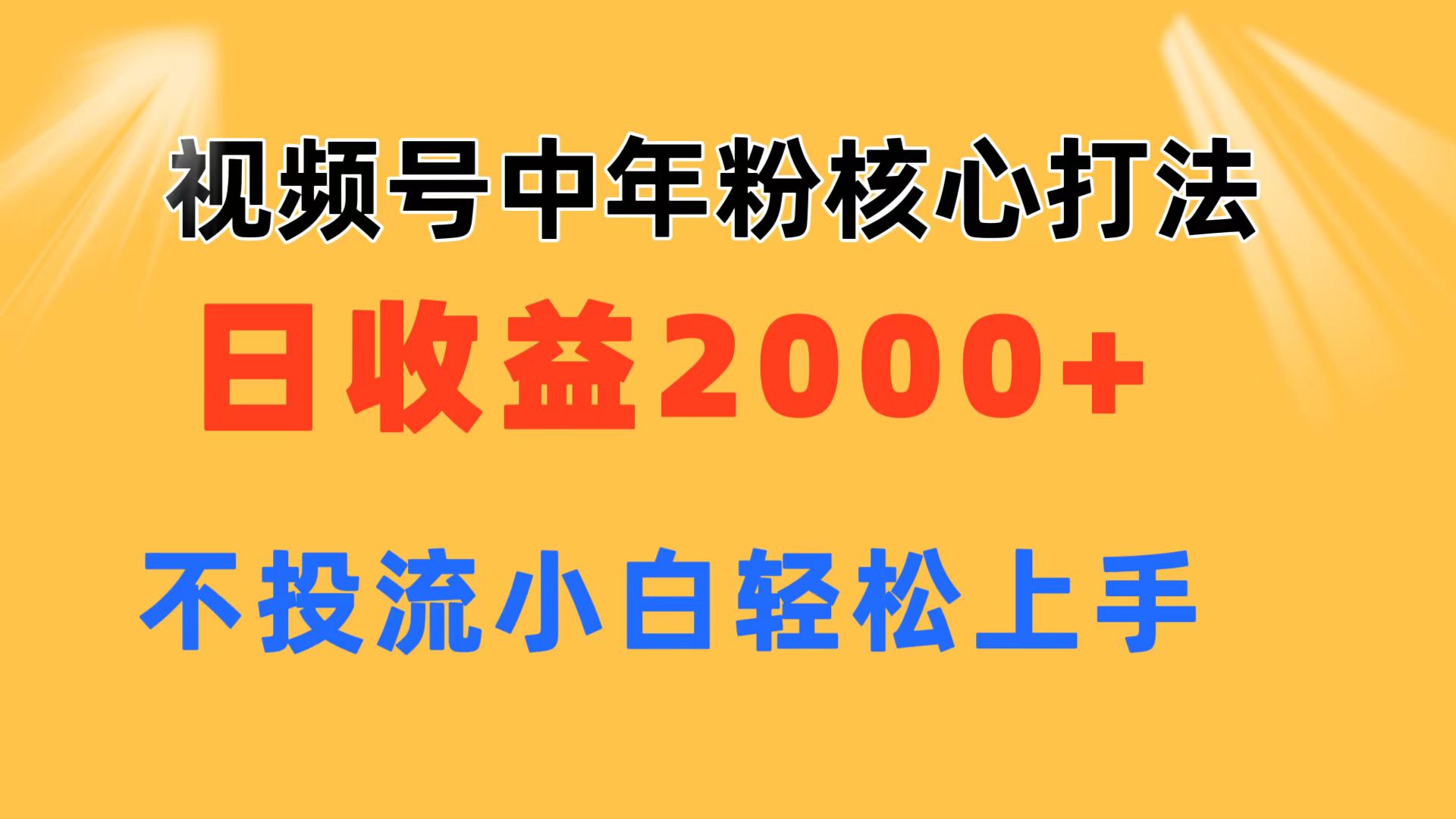 （11205期）视频号中年粉核心玩法 日收益2000+ 不投流小白轻松上手-928网创