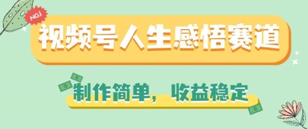 视频号人生感悟赛道，制作简单，收益稳定【揭秘】-928网创