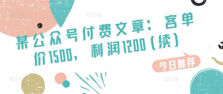 某公众号付费文章：客单价1500，利润1200(续)，市场几乎可以说是空白的-928网创