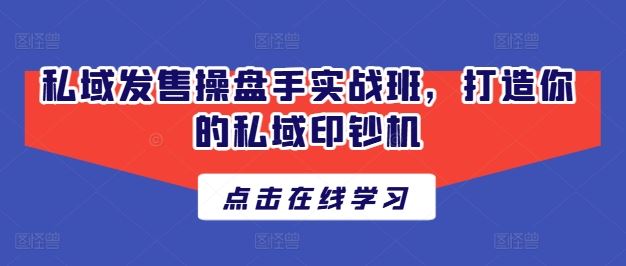 私域发售操盘手实战班，打造你的私域印钞机-928网创