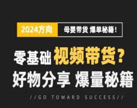 短视频母婴赛道实操流量训练营，零基础视频带货，好物分享，爆量秘籍-928网创