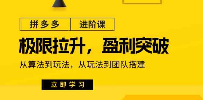 拼多多进阶课：极限拉升/盈利突破：从算法到玩法 从玩法到团队搭建（18节）-928网创