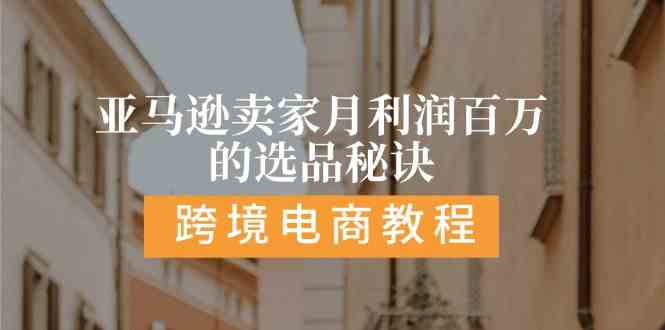 亚马逊卖家月利润百万的选品秘诀: 抓重点/高利润/大方向/大类目/选品易-928网创