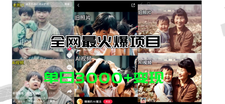 （11546期）全网爆火的AI让老照片动起来教程，蹭热点日赚3000+，内含免费工具一键…-928网创