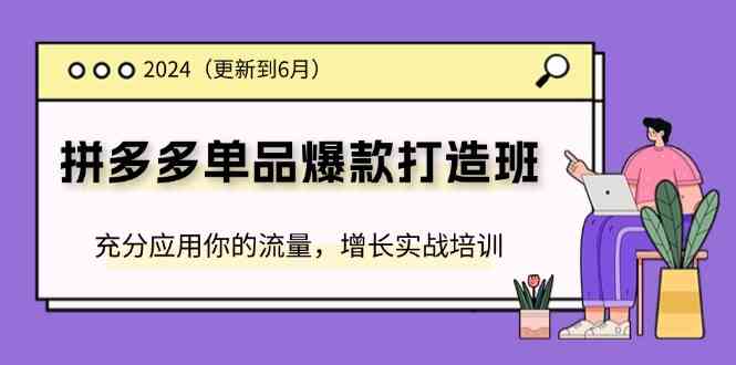 2024拼多多单品爆款打造班，充分应用你的流量，增长实战培训(更新6月)-928网创