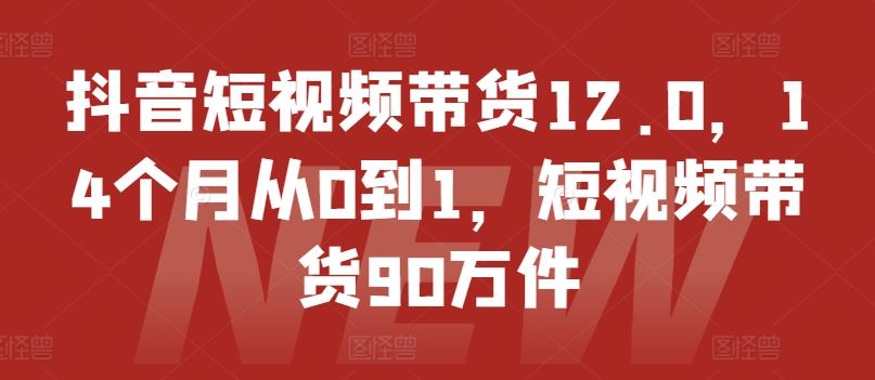 抖音短视频带货12.0，14个月从0到1，短视频带货90万件-928网创