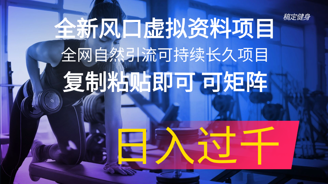 （11587期）全新风口虚拟资料项目 全网自然引流可持续长久项目 复制粘贴即可可矩阵…-928网创