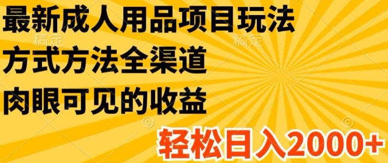 最新成人用品项目玩法，方式方法全渠道，轻松日入2K+【揭秘】-928网创
