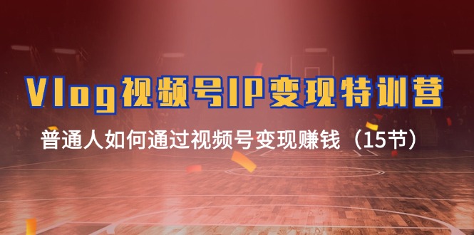 （11654期）Vlog 视频号IP变现特训营，普通人如何通过视频号变现赚钱（15节）-928网创