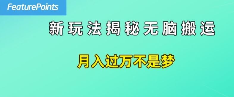 简单操作，每天50美元收入，搬运就是赚钱的秘诀【揭秘】-928网创