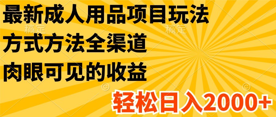 最新成人用品项目玩法，方式方法全渠道，肉眼可见的收益，轻松日入2000+-928网创