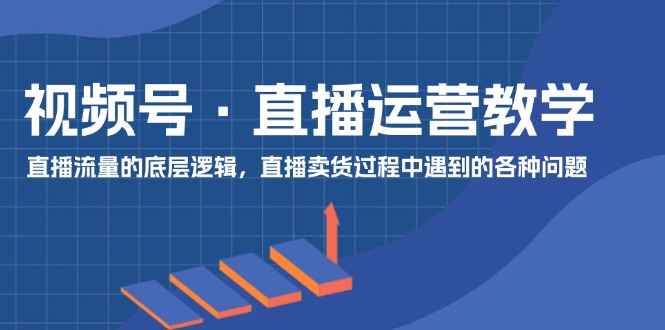 （11687期）视频号 直播运营教学：直播流量的底层逻辑，直播卖货过程中遇到的各种问题-928网创