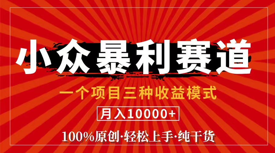 （11695期）视频号【中老年粉深信不疑】小众赛道 100%原创 手把手教学 新号3天收益…-928网创