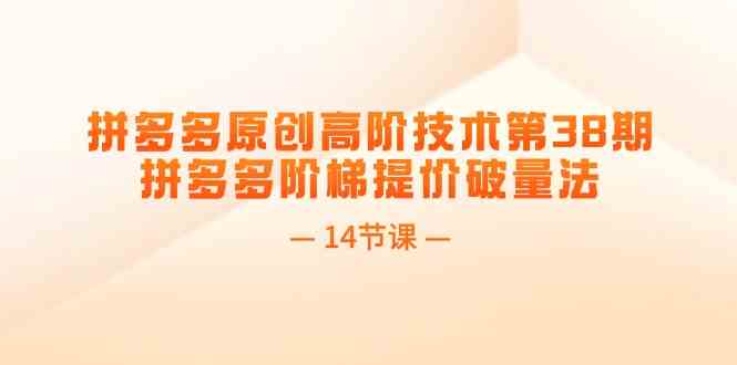 拼多多原创高阶技术第38期，拼多多阶梯提价破量法（14节课）-928网创