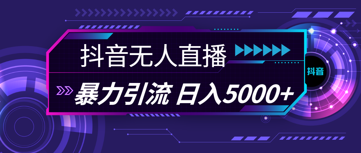 （11709期）抖音无人直播，暴利引流，日入5000+-928网创