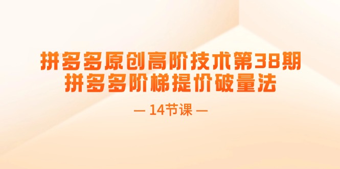 （11704期）拼多多原创高阶技术第38期，拼多多阶梯提价破量法（14节课）-928网创