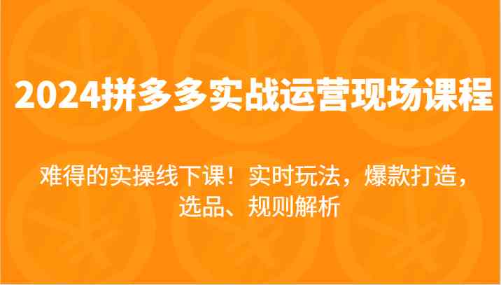 2024拼多多实战运营现场课，实时玩法，爆款打造，选品、规则解析，难得的实操线下课！-928网创