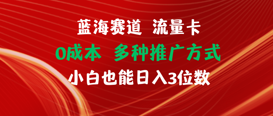 （11768期）蓝海赛道 流量卡 0成本 小白也能日入三位数-928网创