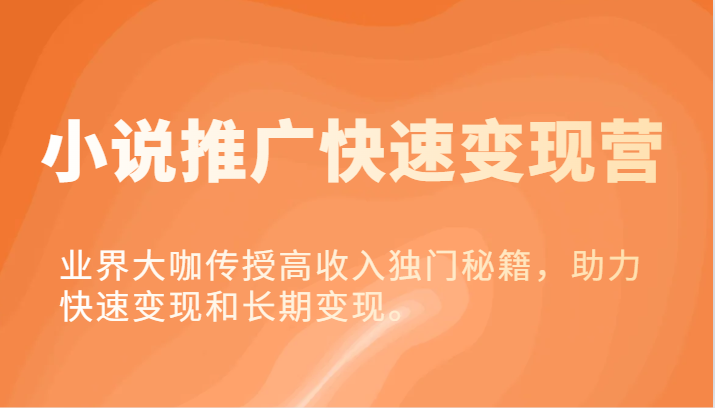 小说推广快速变现营-业界大咖传授高收入独门秘籍，助力快速变现和长期变现。-928网创