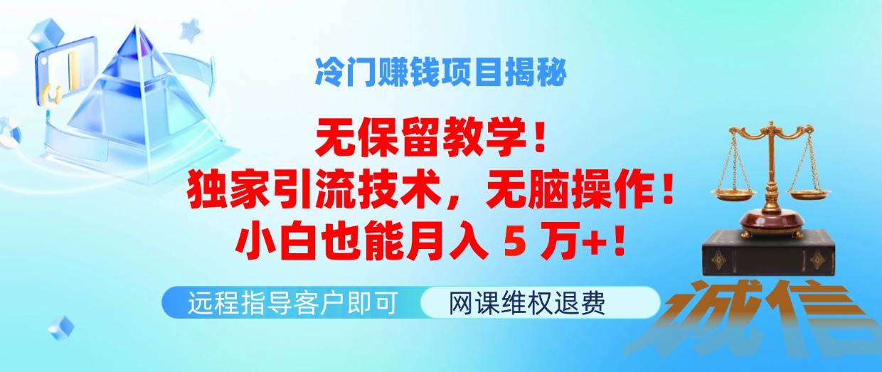 （11864期）冷门赚钱项目无保留教学！独家引流技术，无脑操作！小白也能月入5万+！-928网创