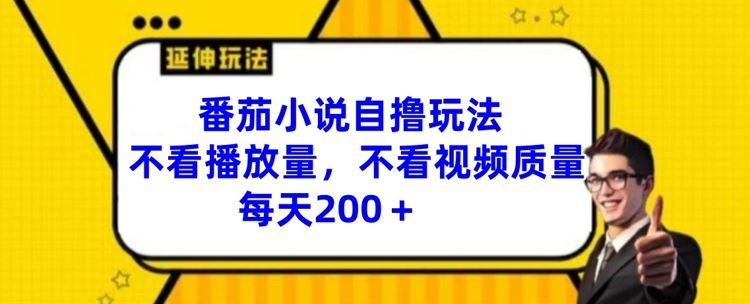 番茄小说自撸玩法，不看播放量，不看视频质量，每天200+【揭秘】-928网创