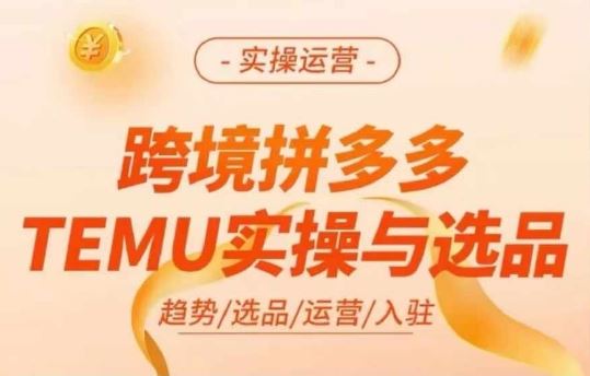跨境拼多多TEMU实操与选品，多多temu跨境选品运营实操-928网创