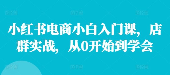 小红书电商小白入门课，店群实战，从0开始到学会-928网创