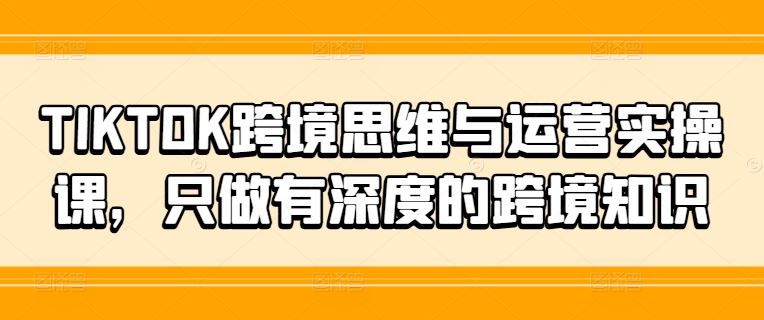 TIKTOK跨境思维与运营实操课，只做有深度的跨境知识-928网创