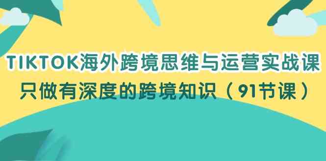 TIKTOK海外跨境思维与运营实战课，只做有深度的跨境知识（91节课）-928网创