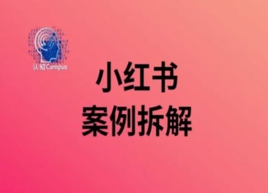 小红书案例拆解，深度解读小红书40万粉-928网创