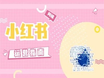小红书运营指南，没有套路，全是经验-928网创