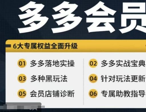 拼多多会员，拼多多实战宝典+实战落地实操，从新手到高阶内容全面覆盖-928网创