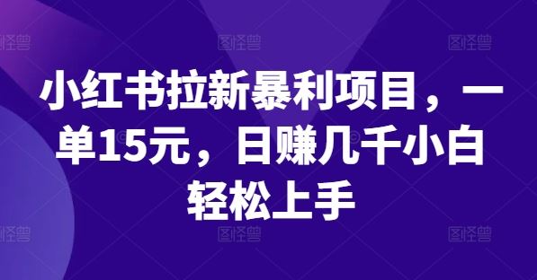 小红书拉新暴利项目，一单15元，日赚几千小白轻松上手【揭秘】-928网创