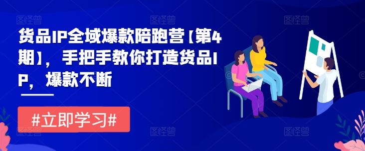 货品IP全域爆款陪跑营【第4期】，手把手教你打造货品IP，爆款不断-928网创