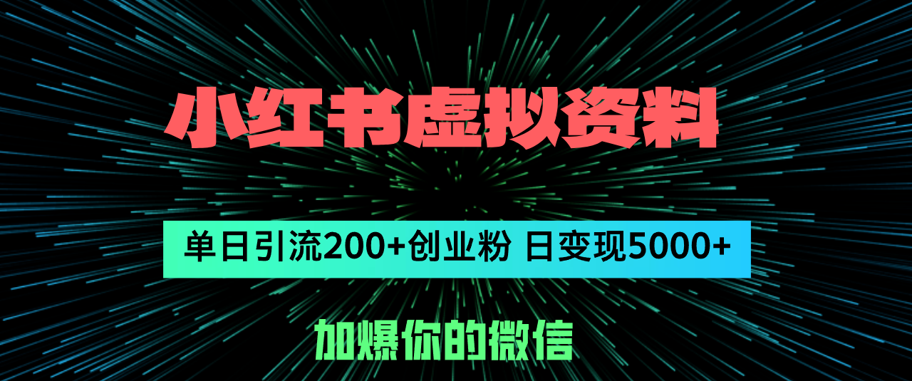 （12164期）小红书虚拟资料日引流200+创业粉，单日变现5000+-928网创