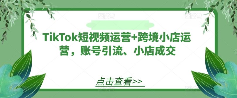 TikTok短视频运营+跨境小店运营，账号引流、小店成交-928网创
