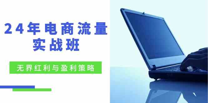 电商流量实战班：无界红利与盈利策略，终极提升/关键词优化/精准人群拓展/创新玩法-928网创