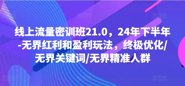 线上流量密训班21.0，24年下半年-无界红利和盈利玩法，终极优化/无界关键词/无界精准人群-928网创