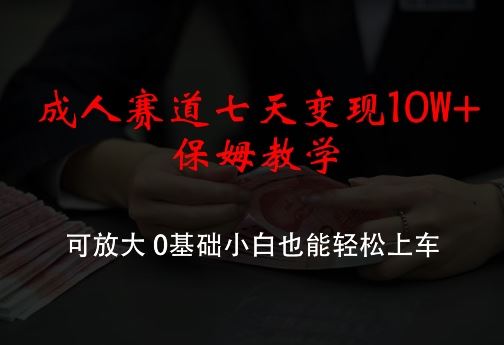成人赛道七天变现10W+保姆教学，可放大，0基础小白也能轻松上车【揭秘】-928网创