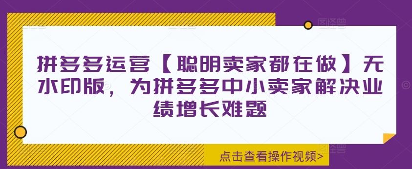 拼多多运营【聪明卖家都在做】无水印版，为拼多多中小卖家解决业绩增长难题-928网创