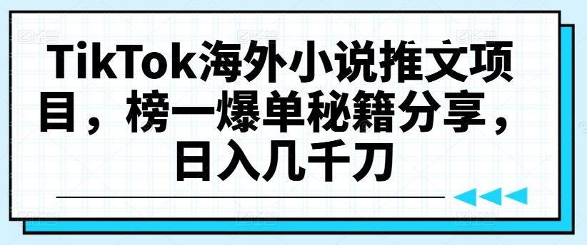 TikTok海外小说推文项目，榜一爆单秘籍分享，日入几千刀-928网创
