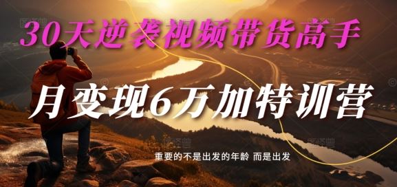 30天逆袭视频带货高手，单月变现6万加特训营-麦子甜-928网创